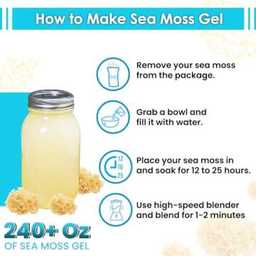 BUIE HOLISTIC HERBS Golden Irish Sea Moss, Pure Wildcrafted, Nutrient-Rich, Dr. Sebi Inspired - Makes 240+ oz Gel | Pure & Natural Raw Gold Irish Sun - Dried Sea Moss for Health & Wellness / (16 oz)