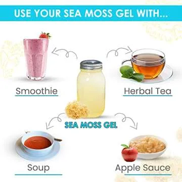 BUIE HOLISTIC HERBS Golden Irish Sea Moss, Pure Wildcrafted, Nutrient-Rich, Dr. Sebi Inspired - Makes 240+ oz Gel | Pure & Natural Raw Gold Irish Sun - Dried Sea Moss for Health & Wellness / (16 oz)