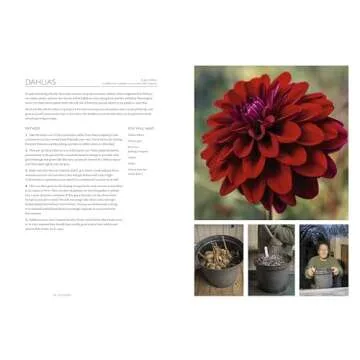 The Gardening Book: An Accessible Guide to Growing Houseplants, Flowers, and Vegetables for Your Ideal Garden