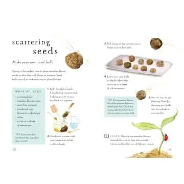 A Field Guide to Spring - Explore Nature with Kids