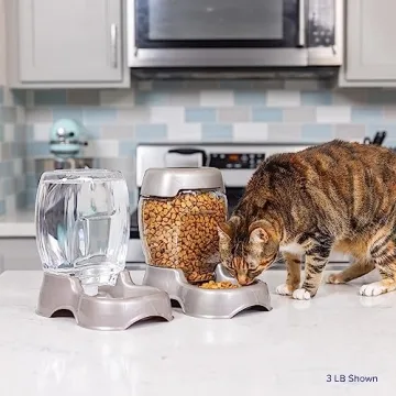 Petmate Pet Cafe Feeder for Dogs and Cats in Pearlescent Colors