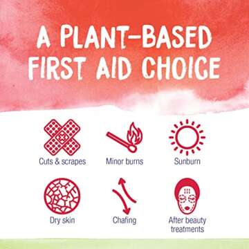 Boiron Calendula Cream for Relief from Rashes, Skin Irritations, Razor Burn, Insect Bites, or Sunbur...