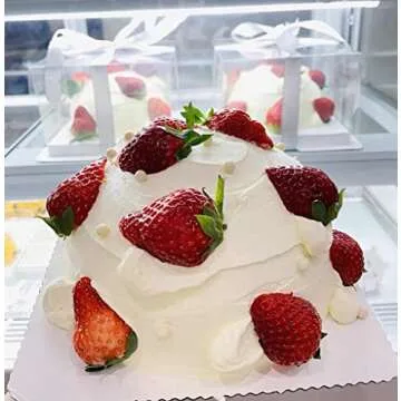 XININSUN Clear Cake Boxes - 6Pcs for Large Cakes and Gifts