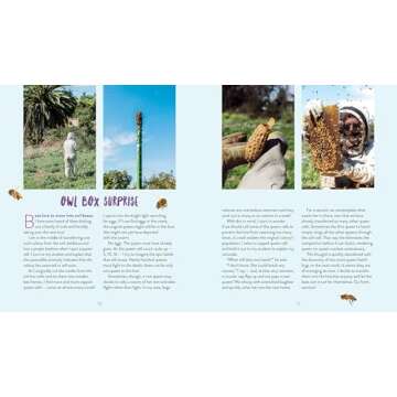 QueenSpotting: Meet the Remarkable Queen Bee and Discover the Drama at the Heart of the Hive; Includes 48 Queenspotting Challenges