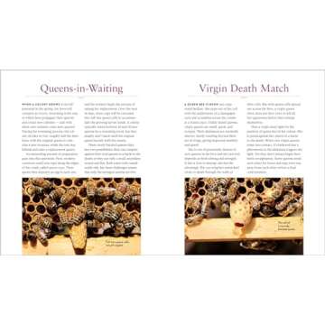 QueenSpotting: Meet the Remarkable Queen Bee and Discover the Drama at the Heart of the Hive; Includes 48 Queenspotting Challenges