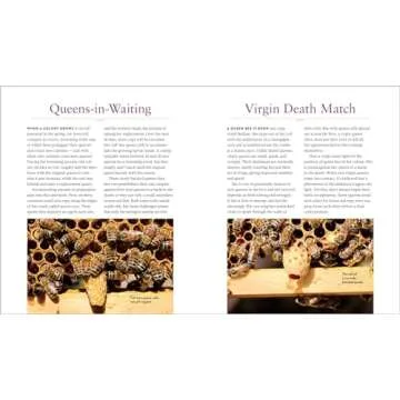 QueenSpotting: Meet the Remarkable Queen Bee and Discover the Drama at the Heart of the Hive; Includes 48 Queenspotting Challenges