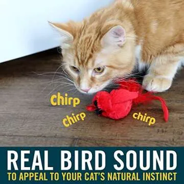 OurPets Play-N-Squeak Real Birds Interactive Cat Toys with Catnip (Cat Toys for Indoor Cats; Catnip ...