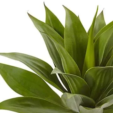 Nearly Natural 32in Agave Plant for Any Space Decoration