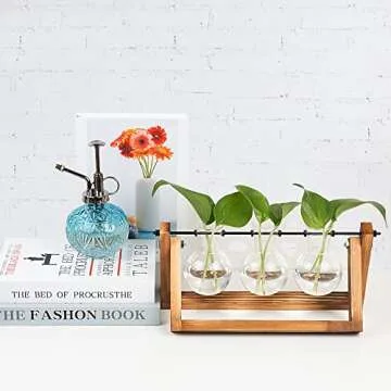 REFFU 2 Sets Plant Propagation Station, Plant Terrarium with Wooden Stand, Desktop Air Planter Bulb Glass Vase, Metal Swivel Holder for Indoor Hydroponics Plants Home Office Décor Planter 3 Bulb Vase