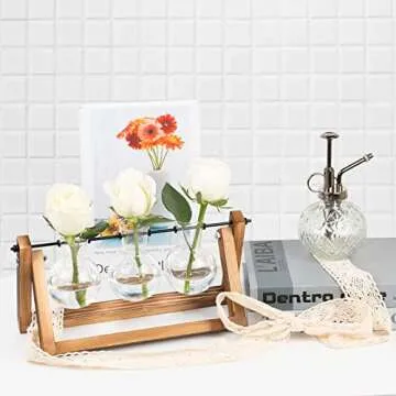 REFFU 2 Sets Plant Propagation Station, Plant Terrarium with Wooden Stand, Desktop Air Planter Bulb Glass Vase, Metal Swivel Holder for Indoor Hydroponics Plants Home Office Décor Planter 3 Bulb Vase