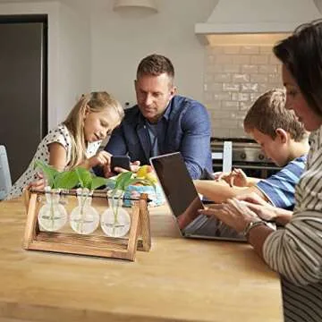 REFFU 2 Sets Plant Propagation Station, Plant Terrarium with Wooden Stand, Desktop Air Planter Bulb Glass Vase, Metal Swivel Holder for Indoor Hydroponics Plants Home Office Décor Planter 3 Bulb Vase