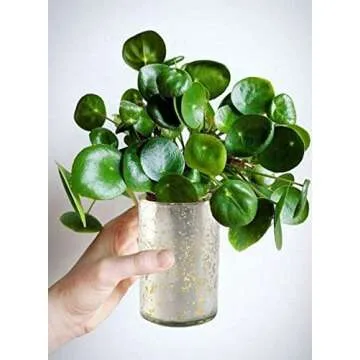 Serene Spaces Living Antique Silver Cylinder Vase, Vintage-Style Handmade Mercury Glass Finish for Weddings, Parties, Events, Measures 6" Tall and 3.5" Diameter