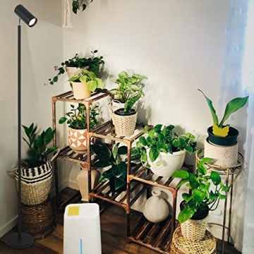 HMVPL Grow Lights for Indoor Plants with Timer
