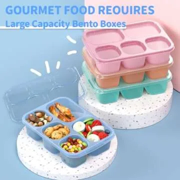 Bento Box 4 Pack - Perfect Meal Prep Containers