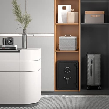 RPNB Biometric Fireproof Safe for Maximum Security