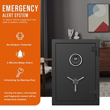 RPNB Biometric Fireproof Safe for Maximum Security