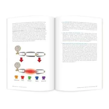 Integrating Manual Therapy & Pain Neuroscience Essentials Guide