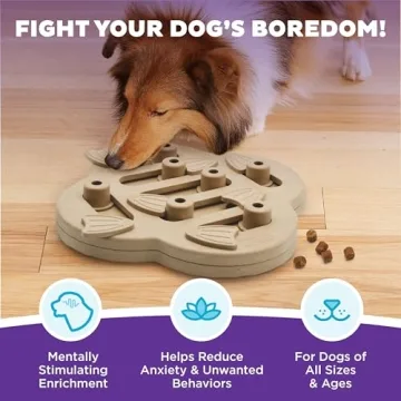 Outward Hound Hidden Treat Puzzle Toy for Dogs