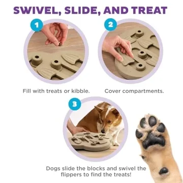 Outward Hound Hidden Treat Puzzle Toy for Dogs