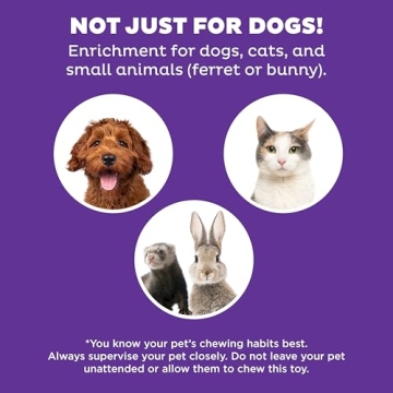 Outward Hound Hidden Treat Puzzle Toy for Dogs