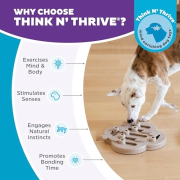 Outward Hound Hidden Treat Puzzle Toy for Dogs