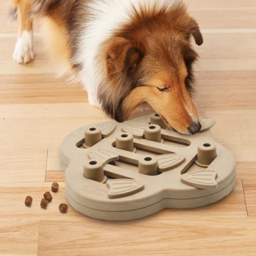 Outward Hound Hidden Treat Puzzle Toy for Dogs