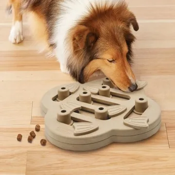 Outward Hound Hidden Treat Puzzle Toy for Dogs