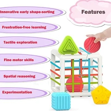 Montessori Toys for 1 Year Old - 6 Pc Learning