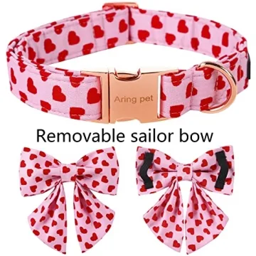 Valentine's Day Dog Collar with Sailor Bowtie
