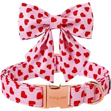 Valentine's Day Dog Collar with Sailor Bowtie