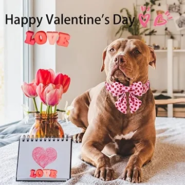 Valentine's Day Dog Collar with Sailor Bowtie