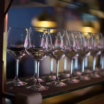 Elegant 18oz Red Wine Glasses Set of 4 - Bormioli Rocco