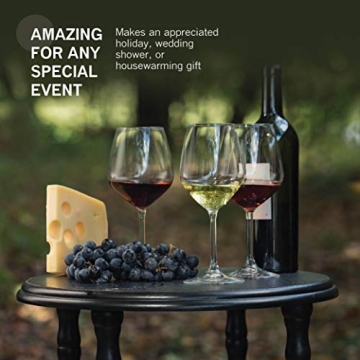 Elegant 18oz Red Wine Glasses Set of 4 - Bormioli Rocco