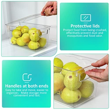 KAMOTA 6-Pack Clear Plastic Storage Bins with Lids