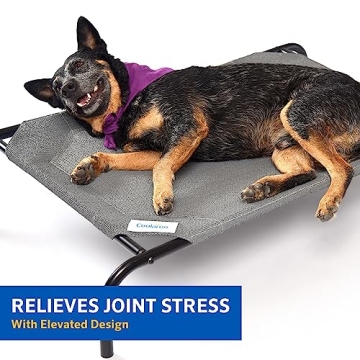 Buy Coolaroo Elevated Dog Bed for Dogs - Comfortable & Stylish  