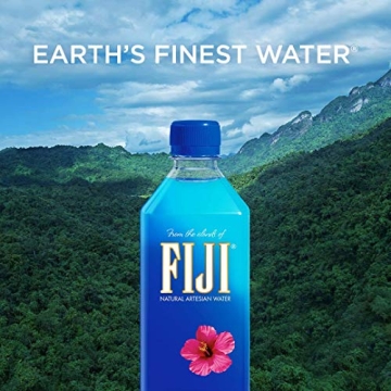 FIJI Natural Artesian Water 12 Pack 1 Liter