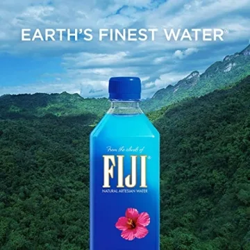FIJI Natural Artesian Water 12 Pack 1 Liter