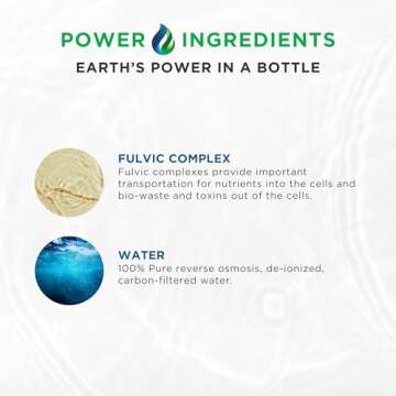 Electrolyte Imbalance Solution | BEAM Minerals Electrolyze | Gold Standard Electrolytes Replenishment | Electrolyte Supplement Liquid | Fulvic Acid Trace Mineral Micronutrients Supplements | Ketogenic