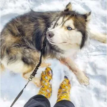 Sloggers Waterproof Garden Rain Boots for Women - Cute Mid-Calf Mud & Muck Boots with Premium Comfort Support Insole, (Chickens Daffodil Yellow), (Size 8)