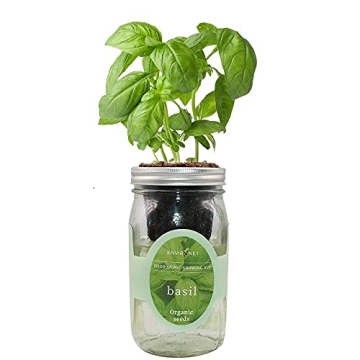 Environet Hydroponic Growing Kit, Self-Watering Mason Jar Herb Garden Starter Kit Indoor, Windowsill...