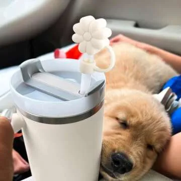 Obxquisite Straw Cover Cap for Stanley Cup, 3Pcs Flower Silicone Straw Toppers Accessories Compatible with Stanley Cup 30&40 Oz Tumbler, Straw Tips Lids for Home and Party Decor (Beige)