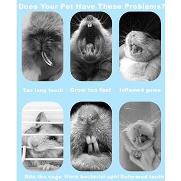 Dbeans Natural Chew Toys for Small Pets 150g Pack