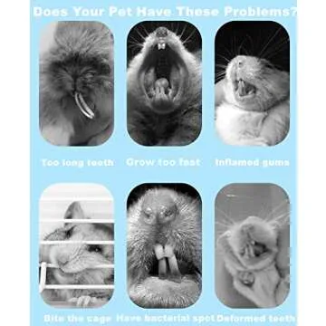 Dbeans Natural Chew Toys for Small Pets 150g Pack