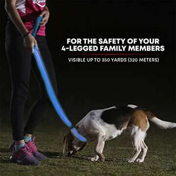 ILLUMISEEN LED Dog Leash for Nighttime Visibility