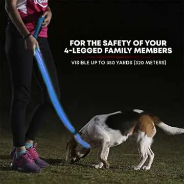 ILLUMISEEN LED Dog Leash for Nighttime Visibility