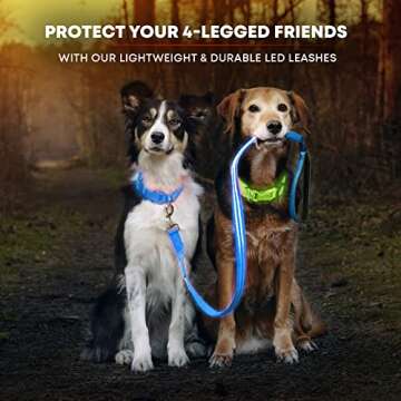 ILLUMISEEN LED Dog Leash for Nighttime Visibility