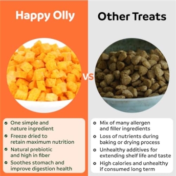 Healthy Happy Olly Pumpkin Treats for Dogs - 2oz