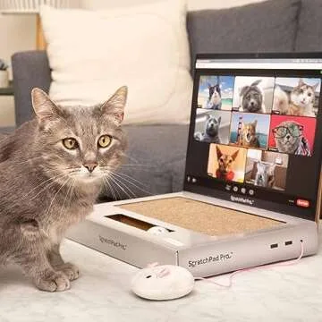 ScratchPad Pro — Cardboard Laptop Cat Scratcher, Great Idea for Pet Owners, Interactive Cat Toys for Indoor Cats, Kitten Supplies and Cat Stuff