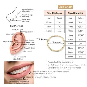 Lantine 5 Pcs Nose Rings Hoops for Women Set 316L Surgical Steel Septum Rings Rook Daith Conch Tragus Piercing Jewelry Hinged Cartilage Gold Hoop Earrings 18G