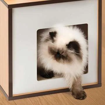 Vesper Cat Tree with Cozy Cube Den and Rattan Ball